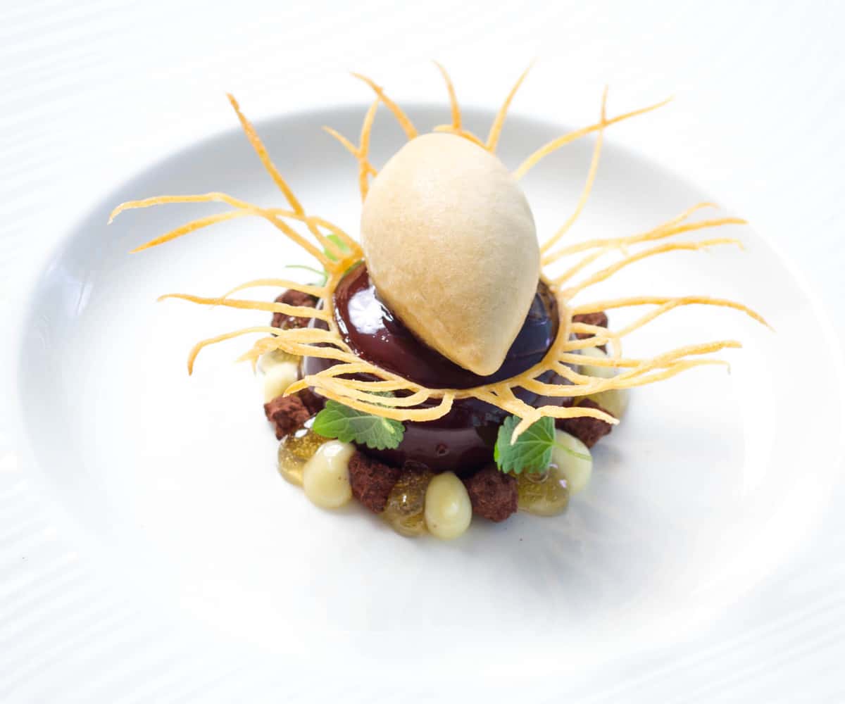 Chocolate Sea Buckthorn recipe served on a plate, by Mystic