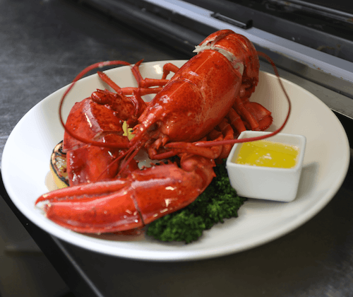 GF Live Atlantic Lobster