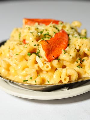 Mac & Cheese recipe served on a plate, by Majestic Mac & Cheese recipe served on a plate, by Majestic
