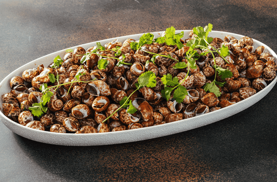 Stir-Fried Sea Snails recipe served on a plate, by Umi Sushi & Seafood Buffet Stir-Fried Sea Snails recipe served on a plate, by Umi Sushi & Seafood Buffet