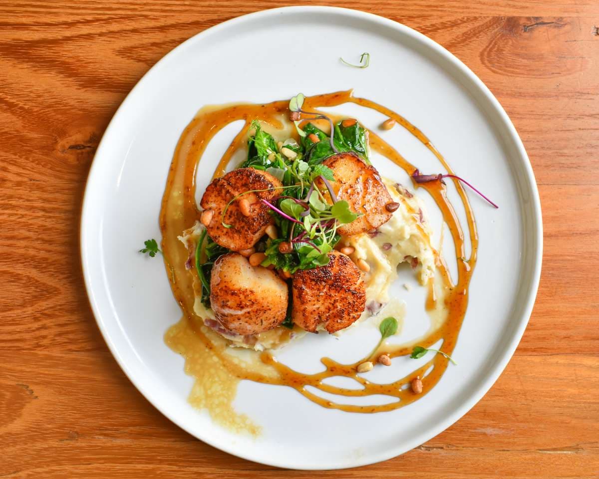 Grilled Octopus