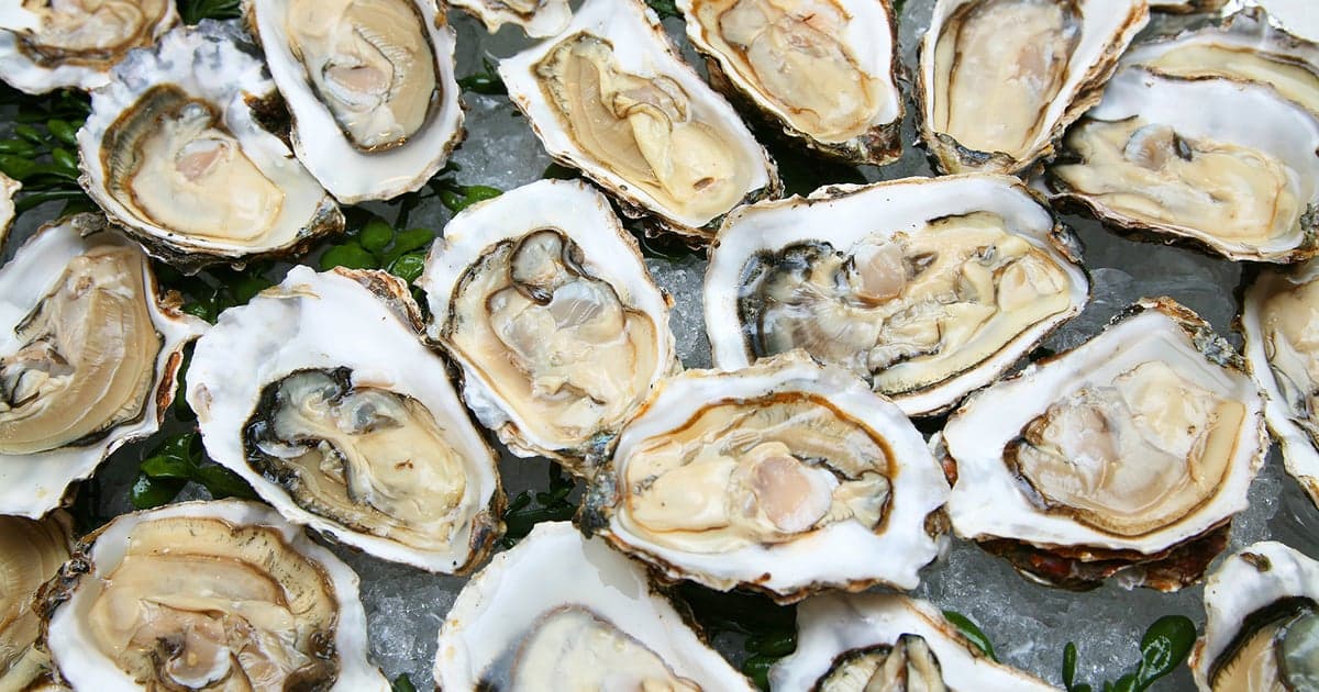 Mojito recipe served on a plate, by Top Crab Mojito recipe served on a plate, by Top Crab