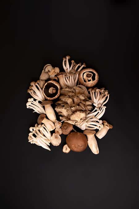 Wild Mushrooms recipe served on a plate, by Affäre Wild Mushrooms recipe served on a plate, by Affäre
